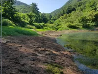 스마트 자립발판