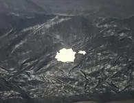 호봉 온돌이 내돈내산 사용기