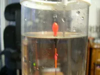 이노피싱 찌부레 사용기..