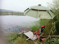 필스피드발판. 구르미 파라솔. 적극추천 ^♡^