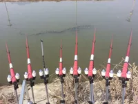 이스케이프 받침틀 일반형 사용기..