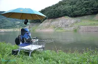 캠핑솔루션 파라솔 천(밀리터리)