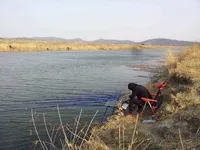 FOP 파라솔 각도기2 재구매 사용기