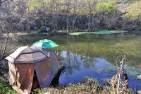 트라이캠프 파라솔 & 월 사용기...