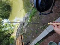 신상품 아이테르 쏠채 소개