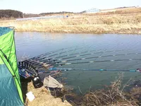 온열매트와 새봄 새각시와 만남