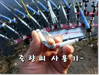 죽향찌 사용기~