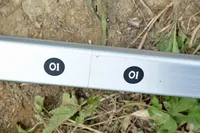 동일 빅자이언트 2탄