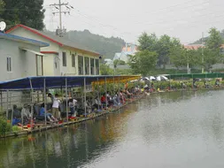 용인 최고의 조황 맹골낚시공원 손맛터...