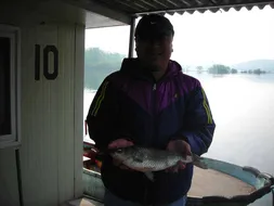 의암거북낚시터소식