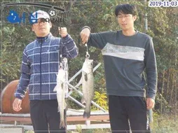 11월03일어심바다낚시터조황