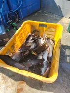 아산 신수지 11월 둘째주입니다