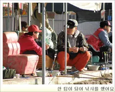 [일영] 육지에서 바다낚시를 한다. 바다낚시 조황