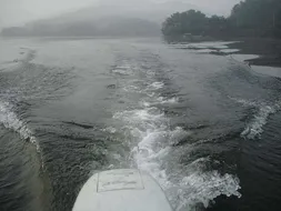 [금광지]조황정보입니다