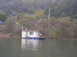 의암거북이좌대주말소식