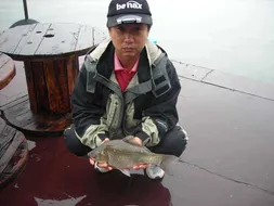 의암거북낚시터조황