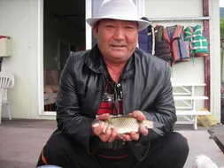 의암거북좌대조황소식