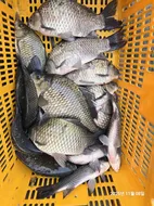 용담대물낚시터