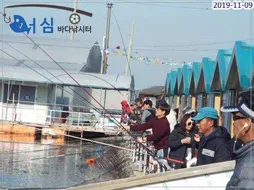 11월09일 어심바다낚시터조황