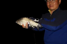 선택은 당신의 몫