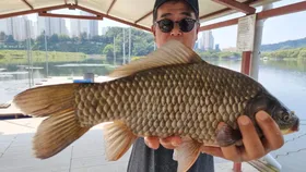 아산 명품 월랑낚시터 9월 두번째  조황소식입니다.....^^