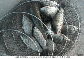 최악의 8월이 지나갔습니다....