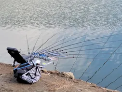 장계지에아름다운날들