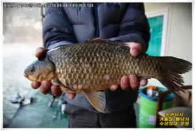 겨울철 물낚시 준비중