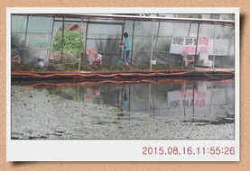 월선낚시터 수초작업 진행했습니다.