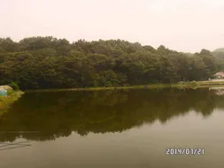 [토종붕어조일] 조황소식~