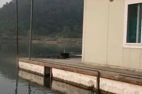 배수에 적응된 붕순이는...