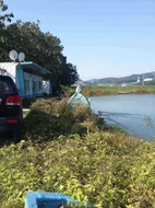 [토종붕어조일]조황소식~