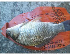 춘천  의암호 자갈섬 낚시터