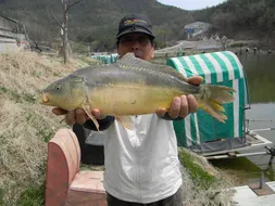 좋은 물색에 탐스러운 향어가..