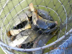 호조황의 시작일까요?