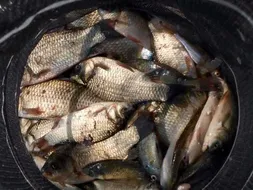 충북 옥천 개심지