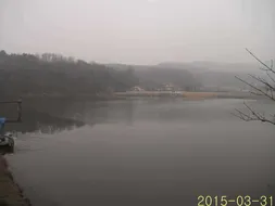 [토종붕어조일] 4짜붕어 방류~~