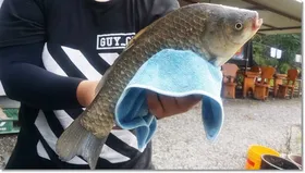 택암낚시터 7월12일조황정보