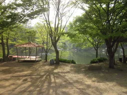 백동지에도 봄이...