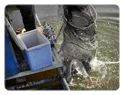 모처럼 한 바퀴 둘러봤습니다.