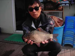 의암호 삼천소식