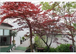 춘천의암호자갈섬낚시터