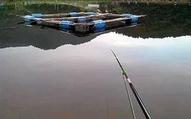 유료터 쥔장의 조행일기^^