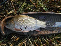 개심낚시터 9월 2째주 모습