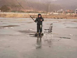 [토종붕어조일] 붕어얼음낚시 시작합니다.~