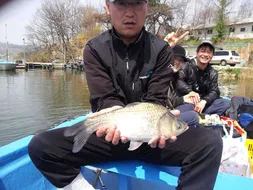 붕어 화수분 영인지