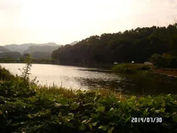 [토종붕어조일] 조황소식~