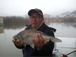 봄은 서서이 다가오고 있습니다.