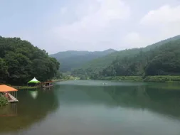 물맑은 양평 백동지 8월의 첫번째 스케치