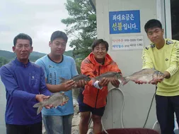 수온이 내려가면 더욱 위력을 발휘하는 아산 영인지